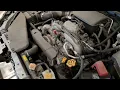 CC2332 10 FORESTER 2 5L