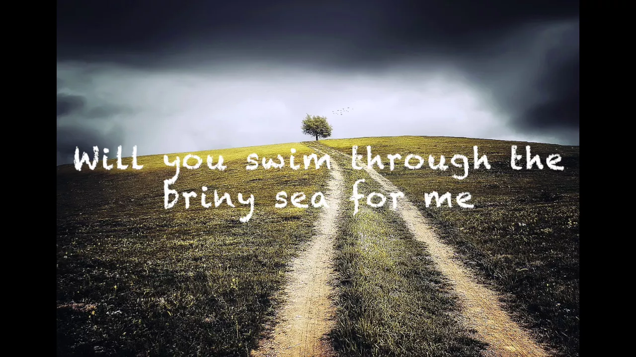 Johnny Flynn - Detectorists Lyric Video Johnny Flynn - Detectorists Lyric Video