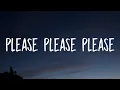 Download Lagu Sabrina Carpenter - Please Please Please (Lyrics)