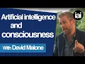 Artificial Intelligence and Consciousness David Malone