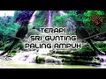 Download Lagu Terapi Sri Gunting Macet Bunyi Dan Bakalan
