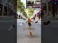 Lagu Ai monkey #AIMonkeyDance #AIDance #AIVideo #MonkeyDance #FunnyAI #AIMeme #ViralReel #AIViralVideo