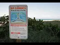 How to ESCAPE a RIP CURRENT as drowning deaths rise in Florida