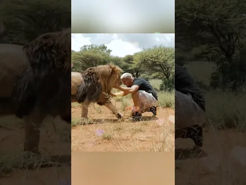 Try Not To Cry: Wild Animals Hugging The Humans Who Saved Them 🥺❤️