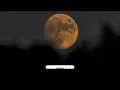 Feist - My Moon My Man (Lyrics)