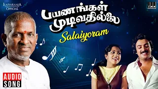 salaiyoram solai ondru song payanangal mudivathillai ilaiyaraaja mohan spb s janaki