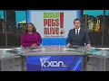 Austin Pets Alive lays off 20 staff members due to economic challenges