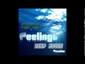 Download Lagu DJ Buddy Vic - Feelings DEEP HOUSE Session 2015