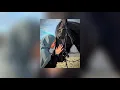 Download Lagu Kun anta // sped up nasheed (vocals only+English lyrics)