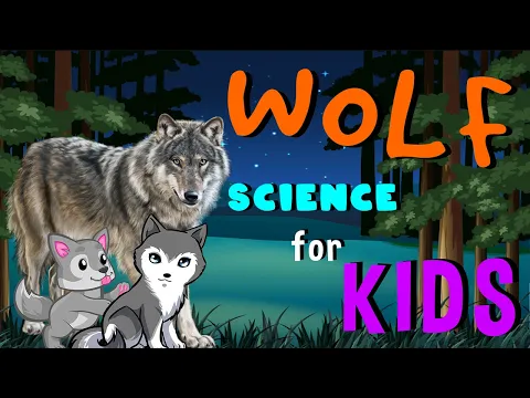 Download MP3 Wolf | Science for Kids