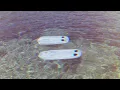 phoebe bridgers instrumentals (float around and ghost your friends)