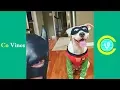 Try Not To Laugh Watching BatDad Compilation 2017 Funny BatDad s