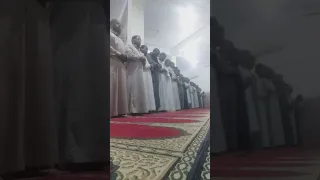 صلاة الفجر في اسوان الشيخ هاشم ابو الانوار 