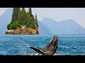 Lagu Beautiful Relaxing Music, Peaceful Soothing Instrumental Music, \