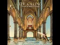 The Calling - Tchami & Marten Hørger