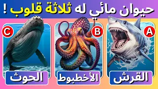    اسئلة واجوبة ومعلومات ثقافية مفيدة عن الحيوانات   اسئلة صعبة جدا   الغاز للاذكياء فقط      دندنها