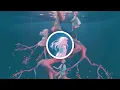 tayori 2nd Album 「magic 」2025/10/8発売　コメント動画