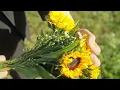 Lewis Capaldi - Something In The Heavens (Music Video)