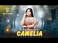 Download Lagu CAMELIA - ROFI SAHARA | SETIA NADA Music Live Sumbergalih Wedding DINA \u0026 DAVID