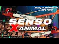Download Lagu DJ SENSO X ANIMAL SOUND HOREG | DJ BREWOG AUDIO TERBARU VIRAL 2025