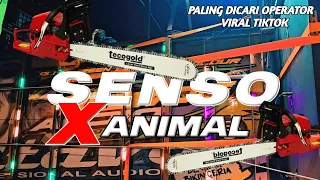 dj senso x animal sound horeg dj brewog audio terbaru viral 2025