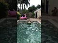 Sloth Slide