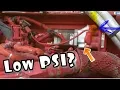 How to diagnose Low Fuel pressure on Cummins ISX
