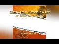 Lagu LILI PILY LOTRY LAGYE DJ JATIN FT.. DJ ERFAN