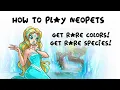 Painting and Transforming Pets How to Play Neopets