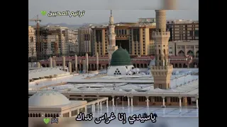 ياسيدي إنا غراس نداك  ﷺ   دندنها