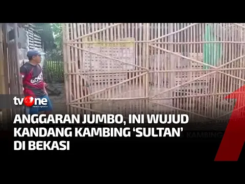 Wow! Anggaran Fantastis untuk Kandang Kambing di Bekasi Bikin Melongo