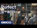 Download Lagu Purfect Swarm | GEICO Insurance
