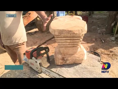 Artesão de Florianópolis esculpe moto em um tronco de madeira para entregar ao Presidente Bolsonaro