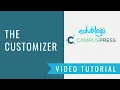 How To Use The WordPress Customizer