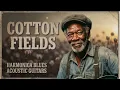 Cotton Fields – Lead Belly Blues Cover | Raw Southern Blues & Americana