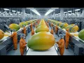 Lagu Inside a modern mango processing plant: From farm to delicious Mango slice (The Whole Process)