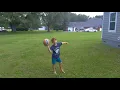 How far can a peacock fly
