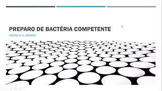 Preparo de bactéria competente
