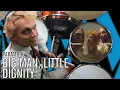 Download Lagu Paramore - Big Man, Little Dignity | Office Drummer [First Time Hearing]