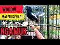 Download Lagu Kacer DAHIT gacor NGEPLONG TARUNG KONSLET BUKA EKOR ini paling AMPUH buat PANCINGAN kacer