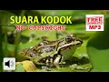 Download Lagu Efek Suara Kodok No Copyright | Frog Sound Effect