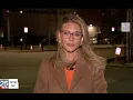 News Investigation launched after geese found injured near Boston