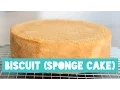 BASIC SPONGE CAKE BISCUIT BODEM RECIPE