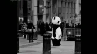 بيتغيرو هالناس 