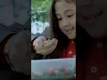 Download Lagu Aku kalo cheat day | Petualangan Sherina