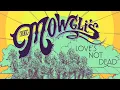 The Mowgli's - San Francisco [AUDIO] [ As heard in Guardians of the Galaxy Vol. 3]