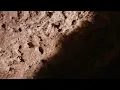 The Resurrection of Jesus Christ! | The Passion Of The Christ Scene 4K