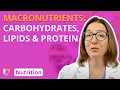 Macronutrients Carbohydrates Lipids Protein - Nutrition Essentials for Nursing LevelUpRN
