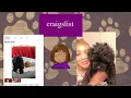 My Experience Purchasing MY Maltipoo Puppy on Craigslist