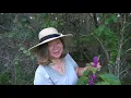 How to Make Container Soil at Home (EASY & CHEAP)